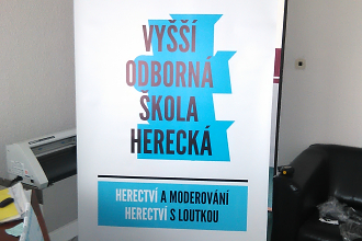 Roll-skola